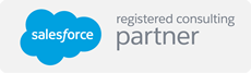 Salesforce Consulting Partners
